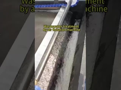 флотомашина растворенного воздуха